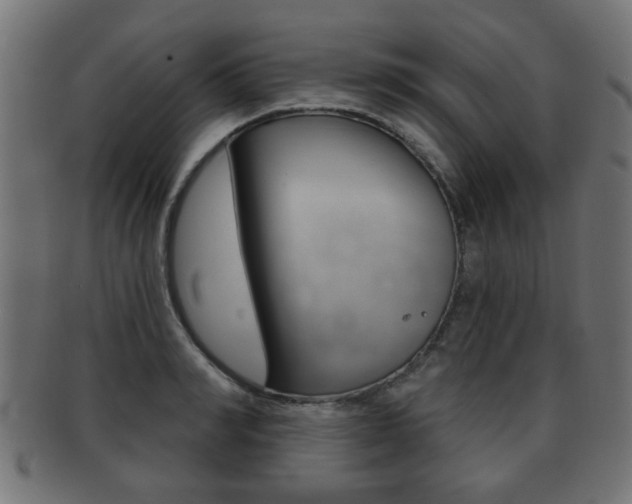X0000091990990200709061217