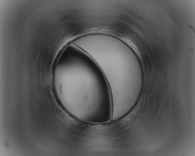 X0000091990992200709061217