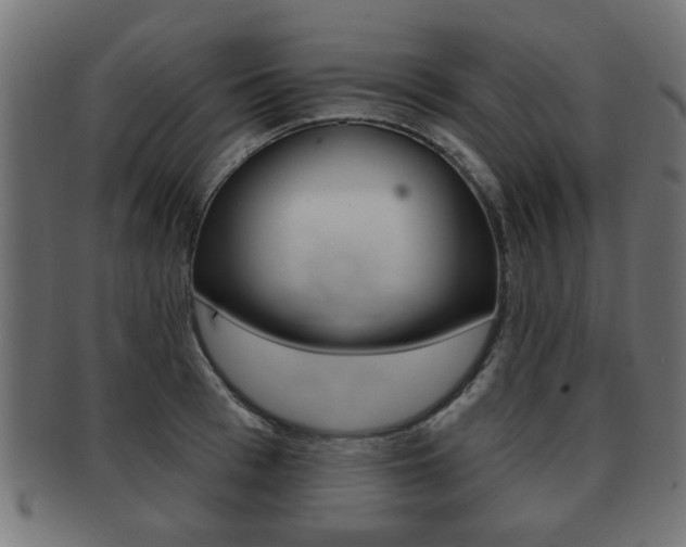 X0000091990993200709061217