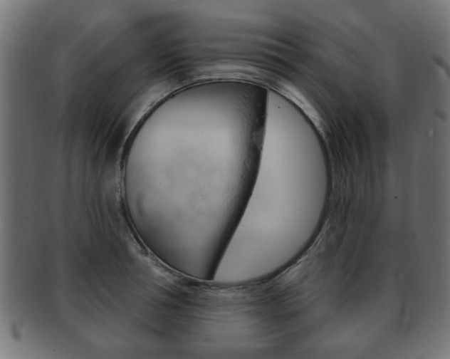 X0000091990994200709061217