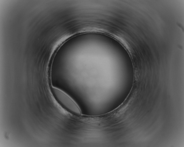 X0000091990995200709061217