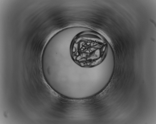 X0000091990996200709061217