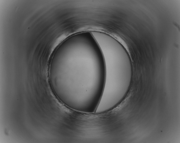 X0000091990997200709061217