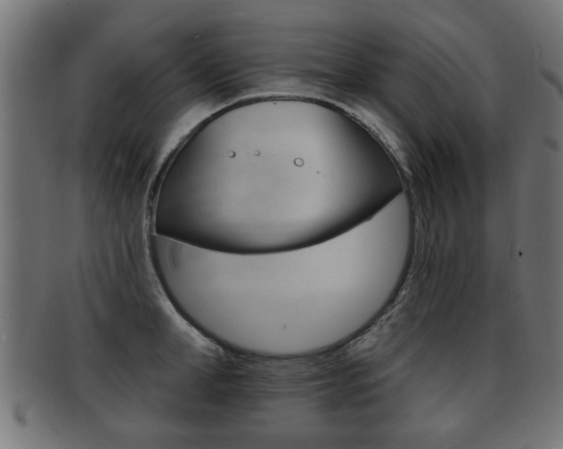 X0000091990998200709061217