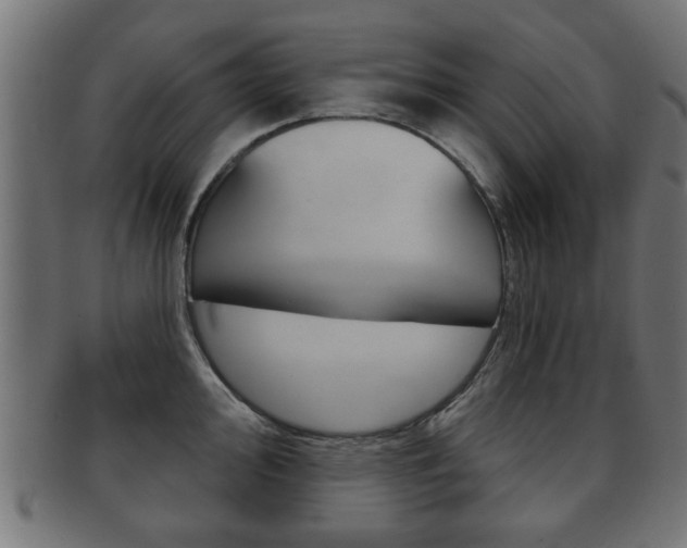 X0000091991000200709061216