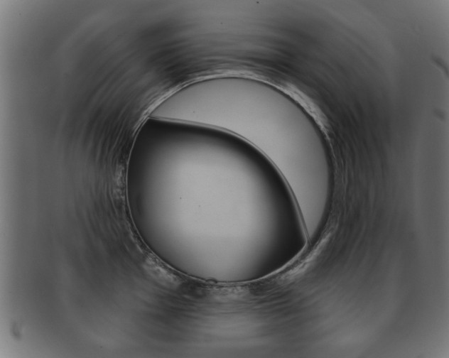 X0000091991001200709061216