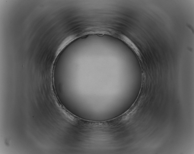 X0000091991002200709061216