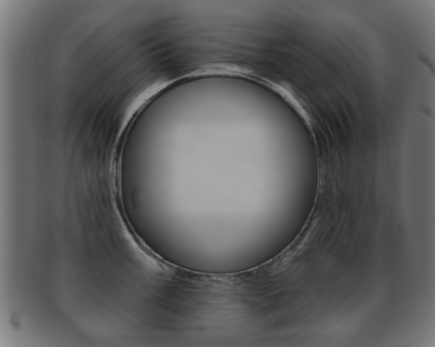 X0000091991003200709061216