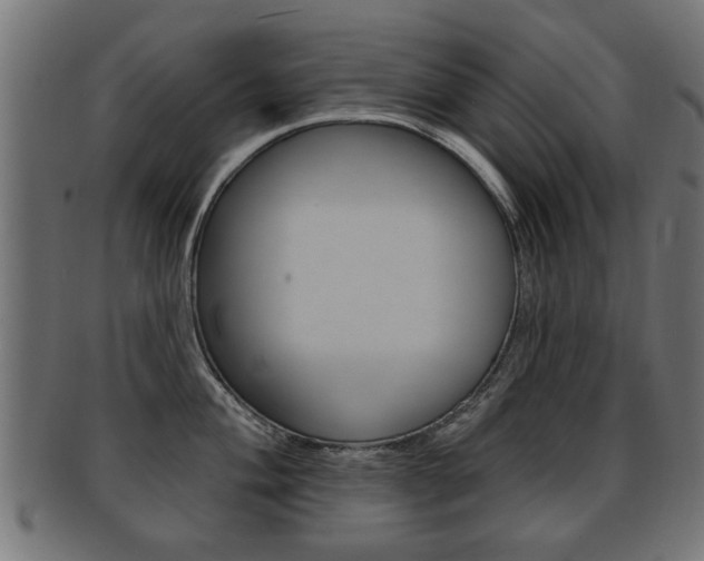 X0000091991004200709061216