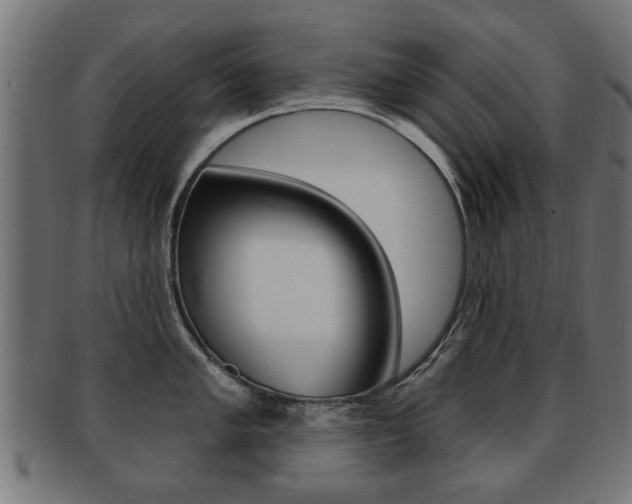 X0000091991005200709061216
