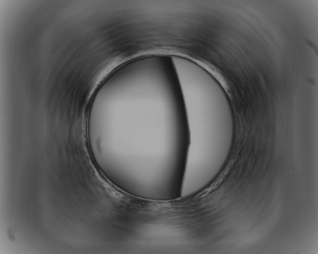 X0000091991006200709061216