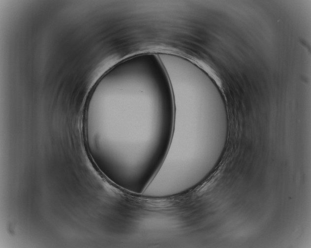 X0000091991007200709061216