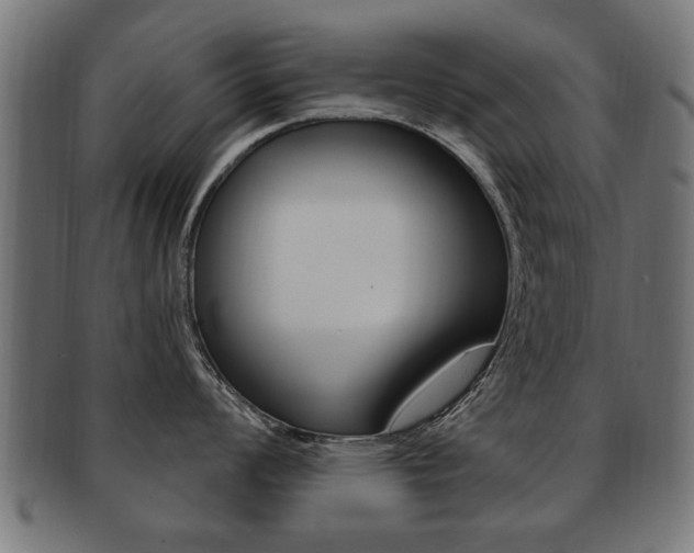X0000091991008200709061216