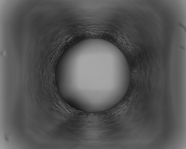 X0000091991009200709061216