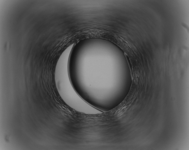 X0000091991010200709061216