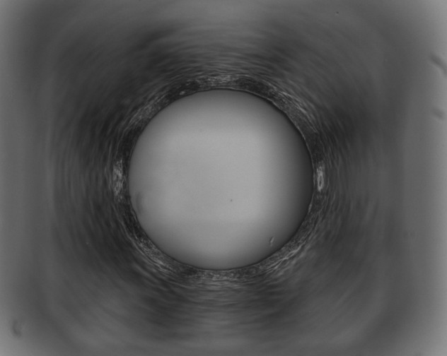 X0000091991011200709061216