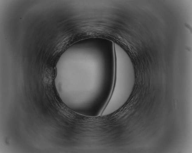 X0000091991012200709061216