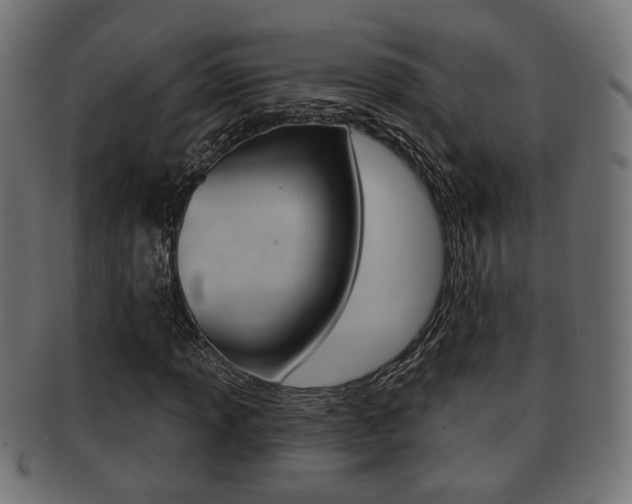 X0000091991013200709061216