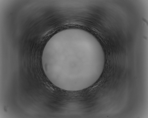 X0000091991014200709061216