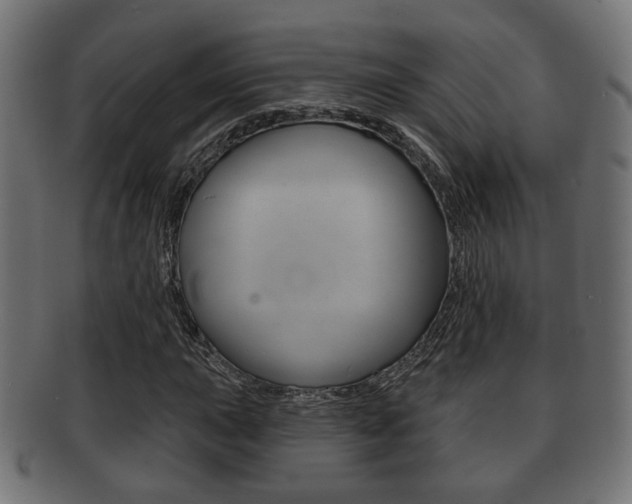 X0000091991015200709061216