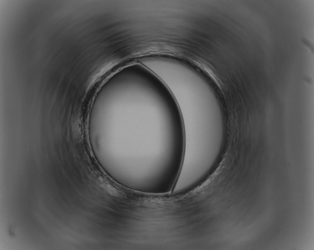 X0000091991018200709061216