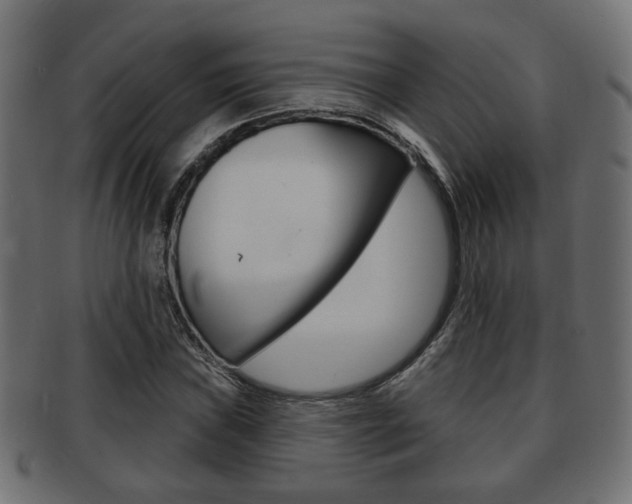 X0000091991019200709061216