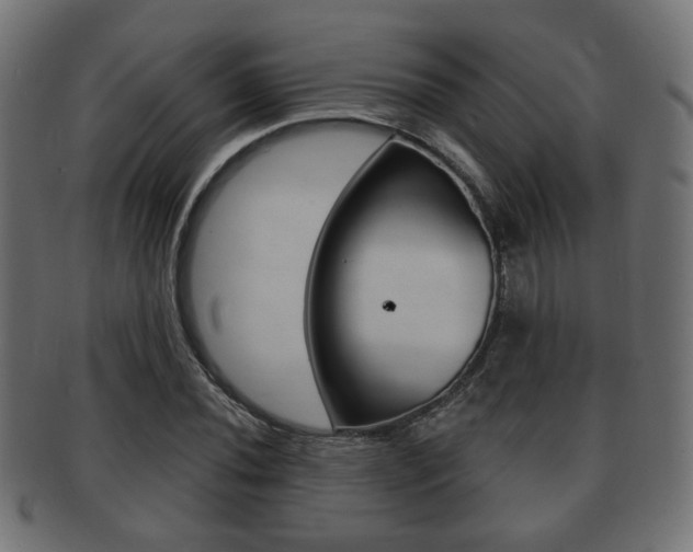 X0000091991020200709061216