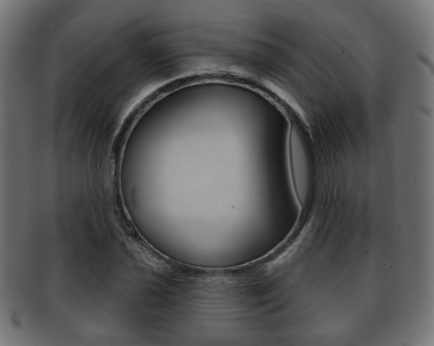 X0000091991021200709061216