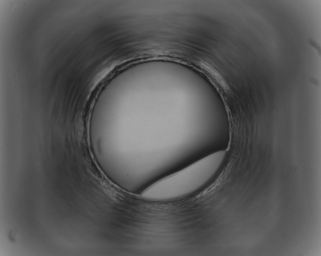 X0000091991023200709061216