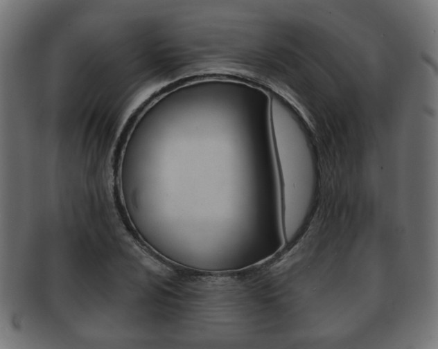 X0000091991024200709061216