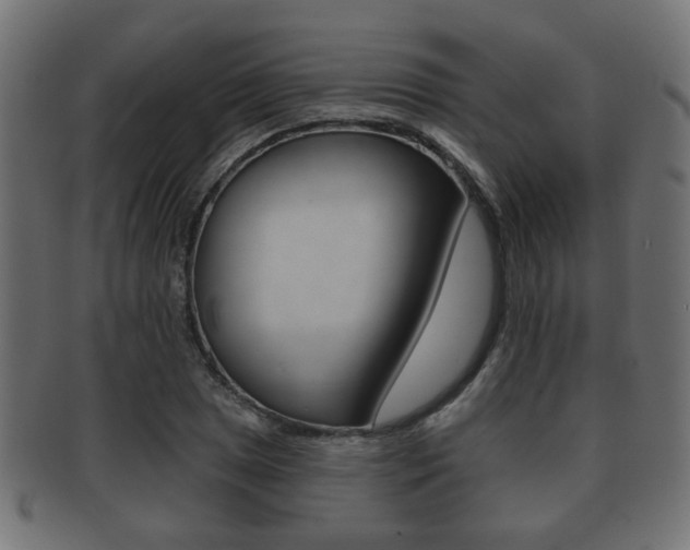 X0000091991025200709061216