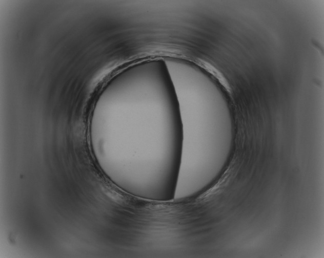 X0000091991027200709061216