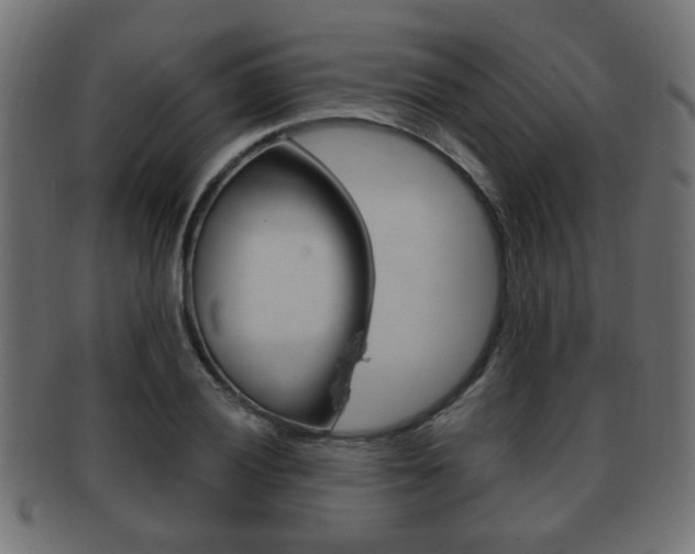X0000091991028200709061216