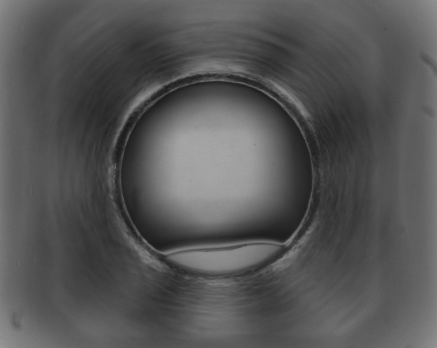 X0000091991029200709061216