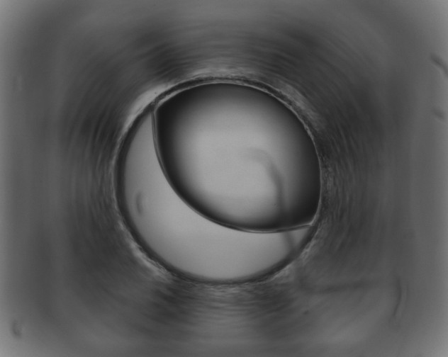 X0000091991030200709061216