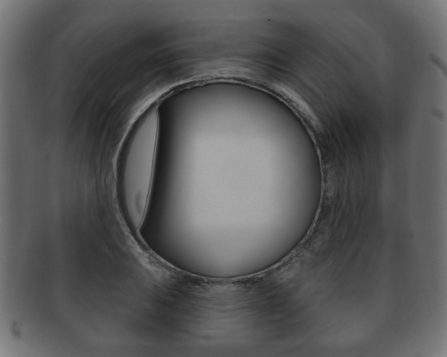 X0000091991031200709061216
