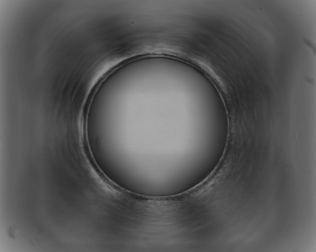 X0000091991032200709061216