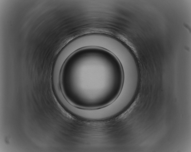 X0000091991033200709061216