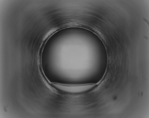 X0000091991034200709061216