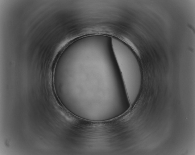 X0000091991035200709061216