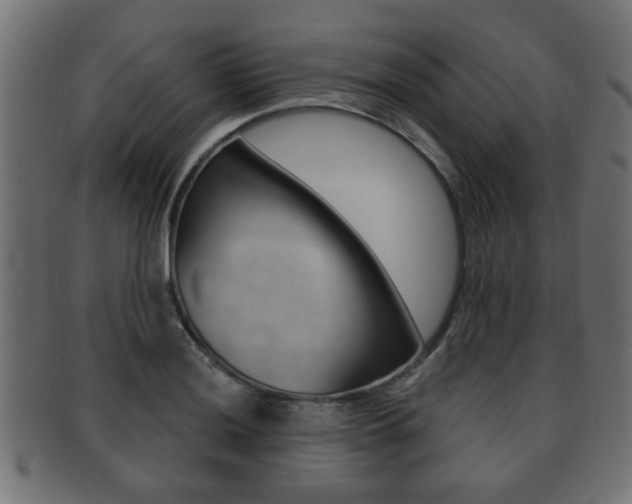 X0000091991036200709061216