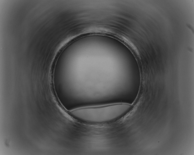X0000091991037200709061216
