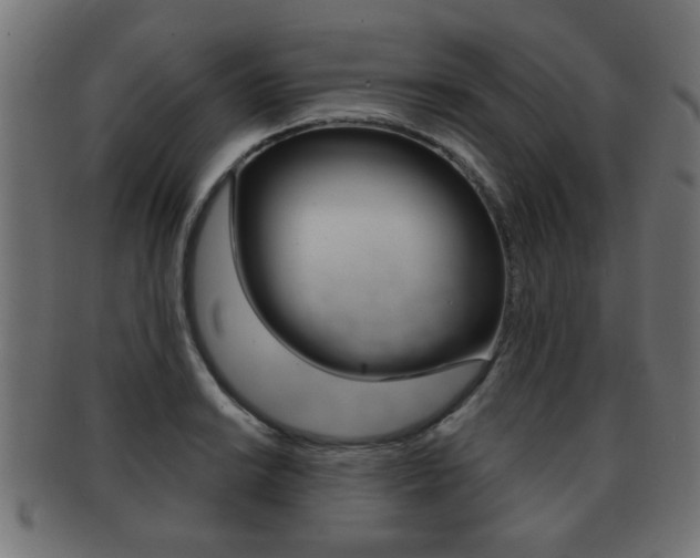 X0000091991038200709061216