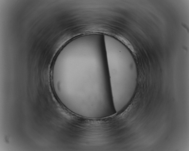 X0000091991039200709061216