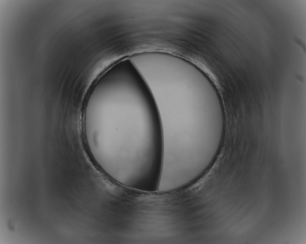 X0000091991040200709061216