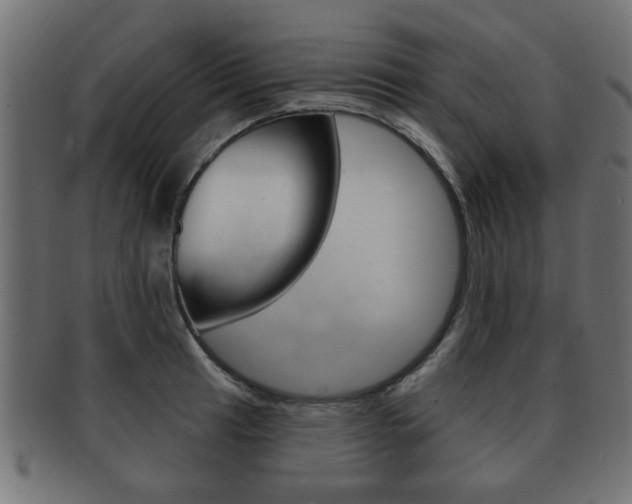 X0000091991041200709061216