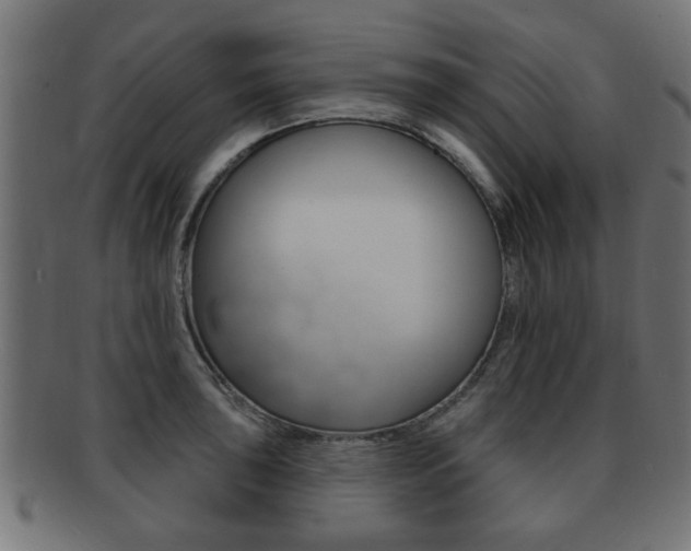 X0000091991043200709061216
