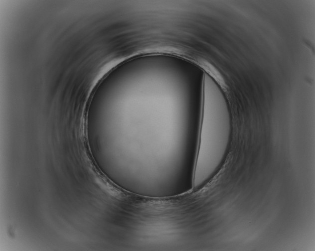 X0000091991044200709061216