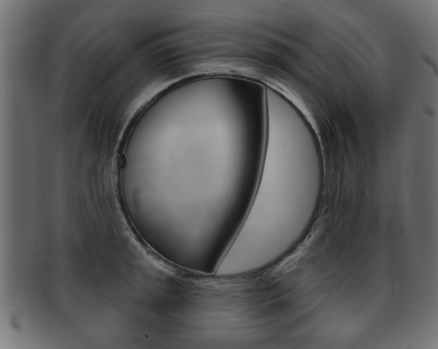 X0000091991045200709061216