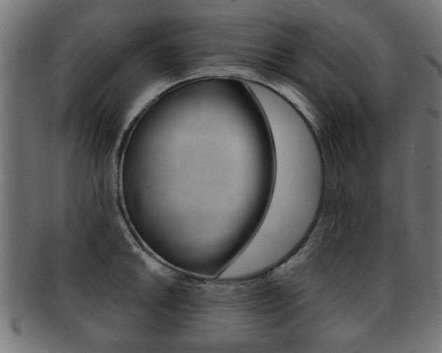X0000091991046200709061216